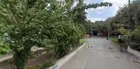 Av. Belgin Canıgüzel Sarıbaş profil fotoğrafı - Burhaniye, Balıkesir