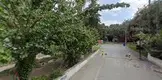 Av. Belgin Canıgüzel Sarıbaş fotoğrafı - Burhaniye, Balıkesir