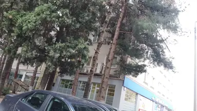 Bingöl Hukuk Bürosu hukuk bürosu fotoğrafı 8 - Beylikdüzü, İstanbul