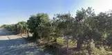 Av. Dilek Yılmaz fotoğrafı 3 - Erzin, Hatay