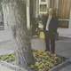 Av. Avukatlık Burosu fotoğrafı 2 - Bayındır, İzmir