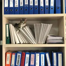 Ulusoydan Hukuk Bürosu hukuk bürosu fotoğrafı 9 - Bayraklı, İzmir