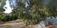 Av. Rıfat Bozkurt profil fotoğrafı - Foça, İzmir