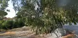 Av. Rıfat Bozkurt fotoğrafı - Foça, İzmir