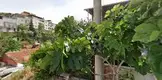 Ege Hukuk Bürosu hukuk bürosu fotoğrafı - Karabağlar, İzmir