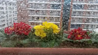 Av. Cengiz Demirci profil fotoğrafı 9 - Karşıyaka, İzmir