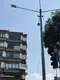 Av. Damla Ceylan fotoğrafı - Karşıyaka, İzmir