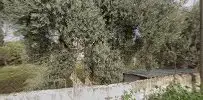 Av. Mehmet Öztaş profil fotoğrafı - Torbalı, İzmir