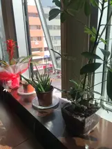 Av. Volkan Güven profil fotoğrafı 3 - Soma, Manisa