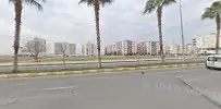 Av. Ayşe Alkandemir profil fotoğrafı - Nusaybin, Mardin