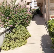 Av. Neşe Sultan Kuray profil fotoğrafı 6 - Milas, Muğla