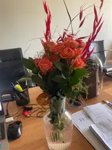 Mert Can Oral hukuk bürosu fotoğrafı 17 - Osmangazi, Bursa