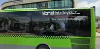 Av. Beyza Emine Başak profil fotoğrafı 4 - Serdivan, Sakarya