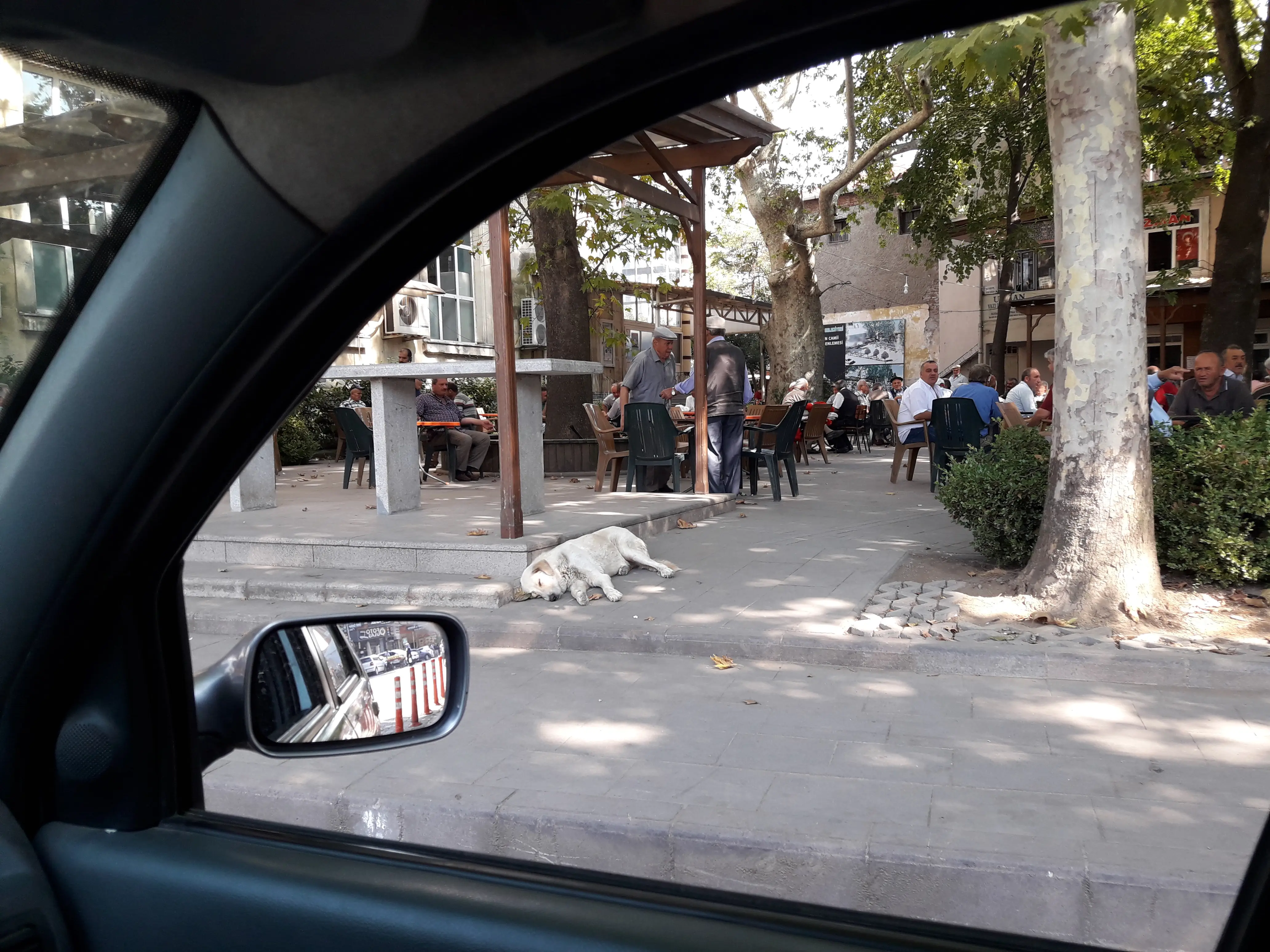 Av. Nazan Sezgin profil fotoğrafı - Samsun