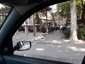 Av. Nazan Sezgin profil fotoğrafı - Samsun
