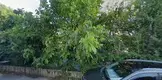 Av. Saffet Bozkurt fotoğrafı - Zonguldak, Zonguldak