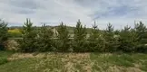 Av. An Zentrum Un Kurucusu Haci Mehsühye Çi̇loğli̇ fotoğrafı - Bayburt, Bayburt