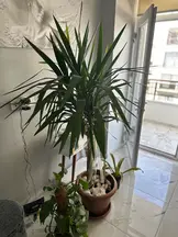 Aşik Hukuk Bürosu hukuk bürosu fotoğrafı 35 - Batman, Batman