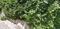 Av. Bahar Uysal profil fotoğrafı 25 - Avcılar, İstanbul