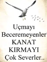 Av. Ahmet Ergen profil fotoğrafı 7 - Bağcılar, İstanbul