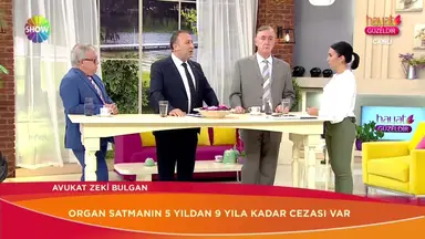 Zeki Bulgan Hukuk Bürosu hukuk bürosu fotoğrafı 24 - İstanbul