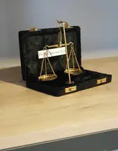 Efe Hukuk - Law Office hukuk bürosu fotoğrafı 9 - Başakşehir, İstanbul
