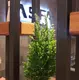 Asfa Hukuk Bürosu hukuk bürosu fotoğrafı 2 - Başakşehir, İstanbul