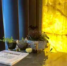 Av. Çiğdem Altıntaş profil fotoğrafı 40 - Gaziosmanpaşa, İstanbul