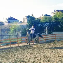 Erenoğlu Hukuk Bürosu hukuk bürosu fotoğrafı 5 - İstanbul