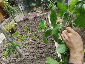 Erenoğlu Hukuk Bürosu hukuk bürosu fotoğrafı 6 - İstanbul