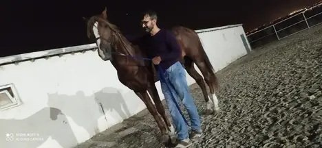 Erenoğlu Hukuk Bürosu hukuk bürosu fotoğrafı 7 - İstanbul