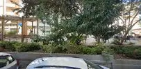 Av. Bengü Kökten profil fotoğrafı 2 - Çatalca, İstanbul