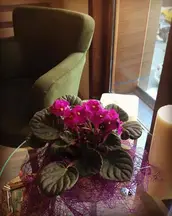 Tutak Hukuk Bürosu hukuk bürosu fotoğrafı 5 - Küçükçekmece, İstanbul