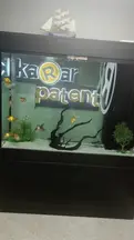 Av. Karar Patent Marka Tescil Ve Danışmanlık Hizmetleri Ltd. Şti̇. profil fotoğrafı 2 - Maltepe, İstanbul