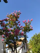 Av. Nurettin Canata profil fotoğrafı 6 - Mudanya, Bursa