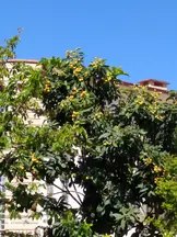 Av. Nurettin Canata profil fotoğrafı 3 - Mudanya, Bursa