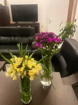 Sabur Hukuk hukuk bürosu fotoğrafı 19 - Alanya, Antalya