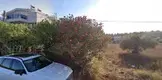 Av. Görkem Yüzgeç fotoğrafı 2 - Döşemealtı, Antalya