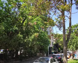 Av. Yunus Soysal profil fotoğrafı 16 - Çankaya, Ankara