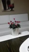Züleyha Tahiroğlu hukuk bürosu fotoğrafı 32 - Etimesgut, Ankara