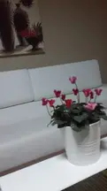 Züleyha Tahiroğlu hukuk bürosu fotoğrafı 28 - Etimesgut, Ankara