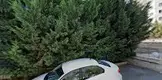 Av. Kemal Kara fotoğrafı - Ankara