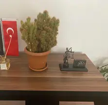 Av. Furkan Er profil fotoğrafı 21 - Mamak, Ankara