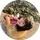 Çağla Günay