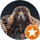 Adam Freemotion