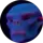 Zak