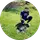 Erhan