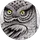 Orkun Yiğitoğlu