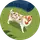 Süleyman Dursun