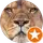 Nömm Nömm